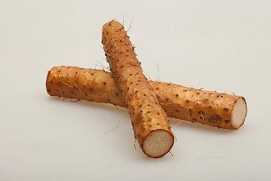 传闻：《生化危机9》可能有多位主角 48岁的里昂是其中之一